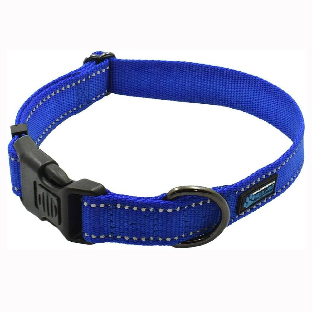 Dog Collar: NEO Blue Dog Collar, Medium